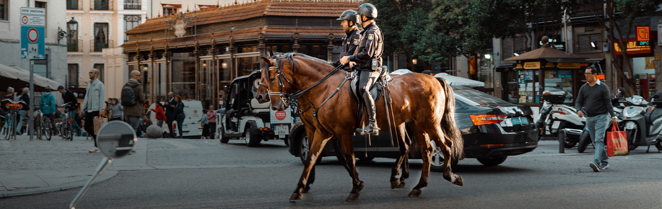 有交通的城市街道上的骑警。